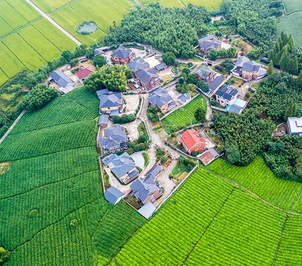 守望鄉村振興